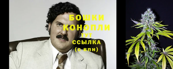 дживик Абаза