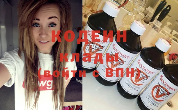 дживик Абаза